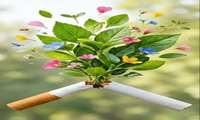 پیشگیری از افزایش وزن پس از ترک سیگار